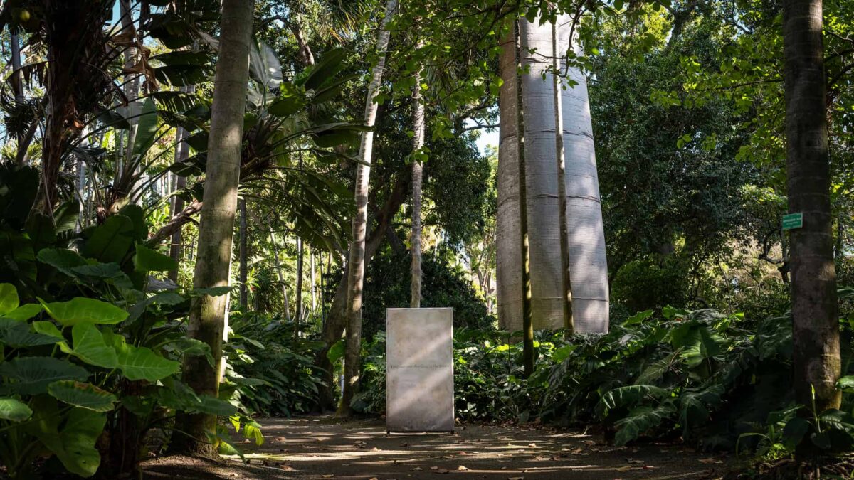 Brandon Ng, You May Be Loved (2025) Courtesy of the artist and Hawai'i Contemporary Photo: Duarte Studios