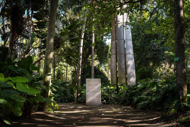 Brandon Ng, You May Be Loved (2025) Courtesy of the artist and Hawai'i Contemporary Photo: Duarte Studios